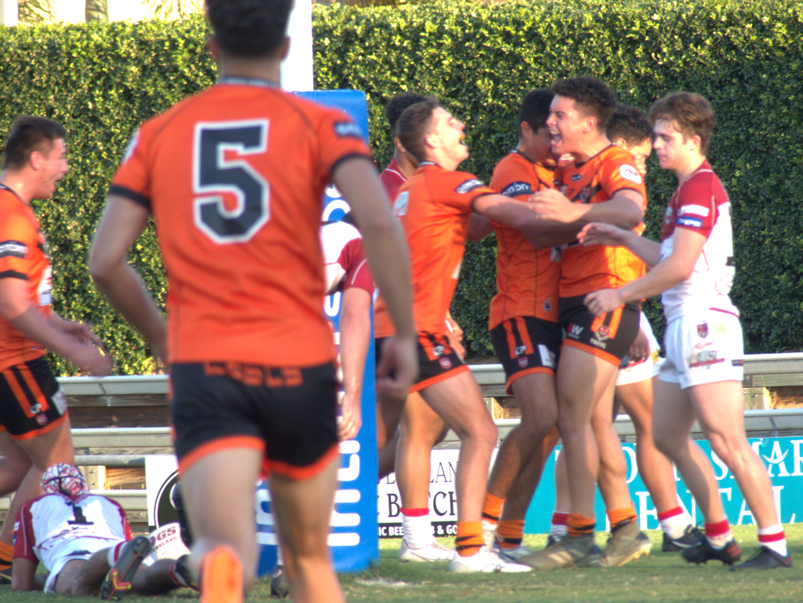 Late flurry of points sees Tigers down Dolphins