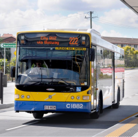 bus