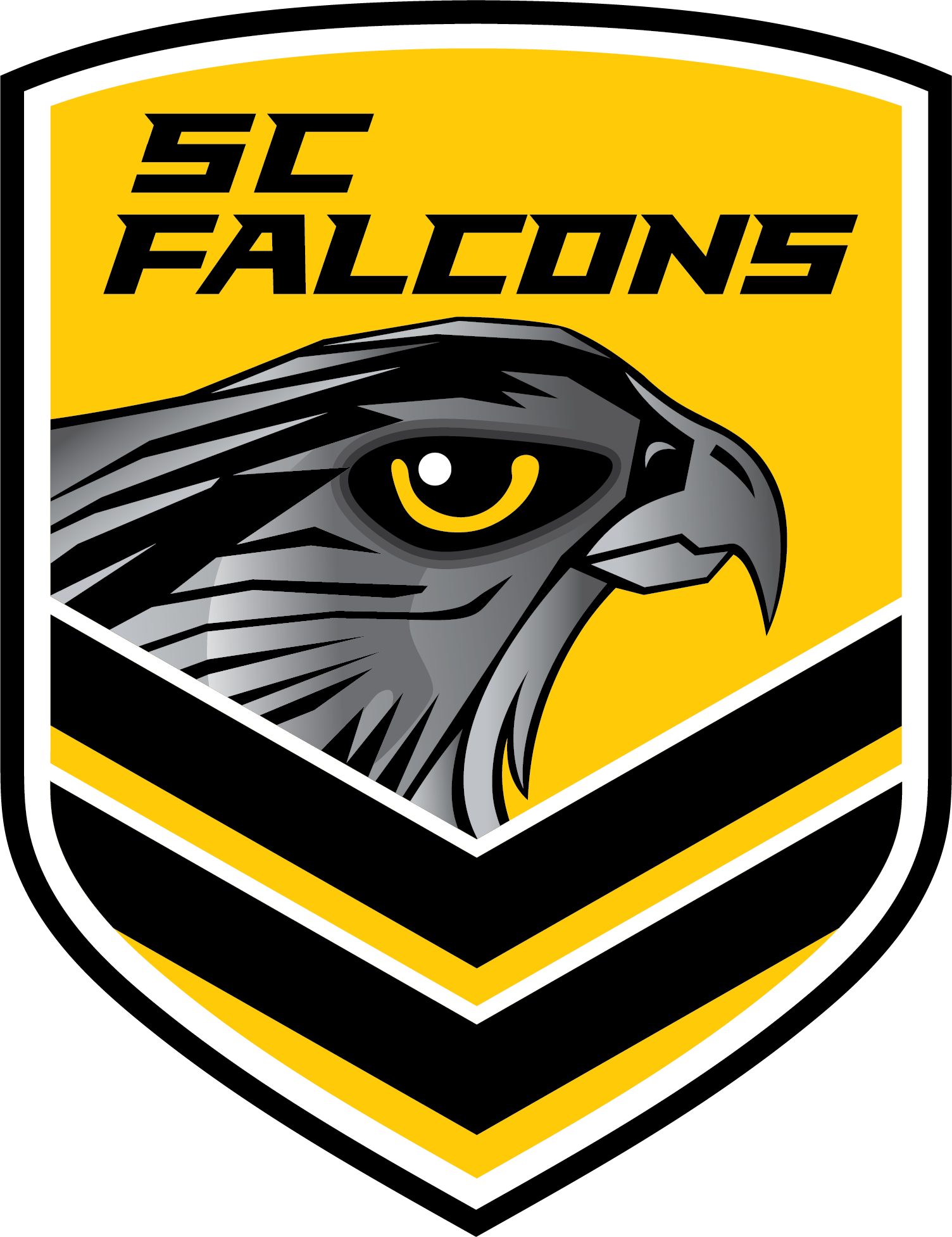 Falcons logo