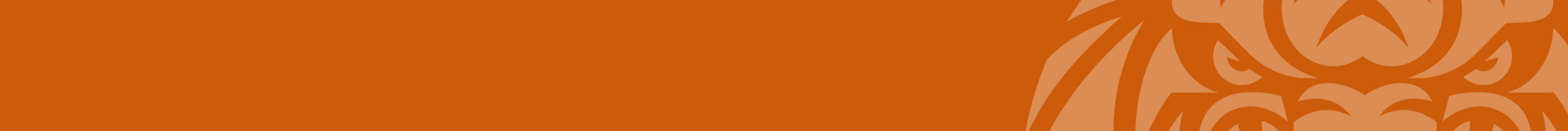 U13 Boys Brisbane Tigers Talent Development Program