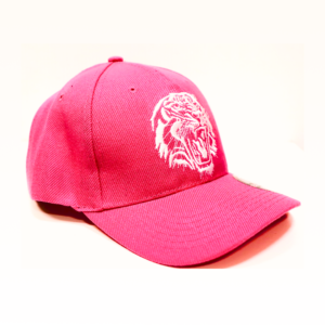Retro Pink Snapback